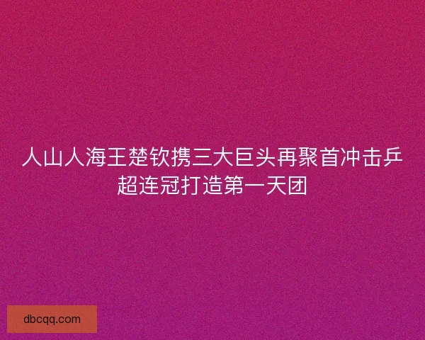 人山人海王楚钦携三大巨头再聚首冲击乒超连冠打造第一天团